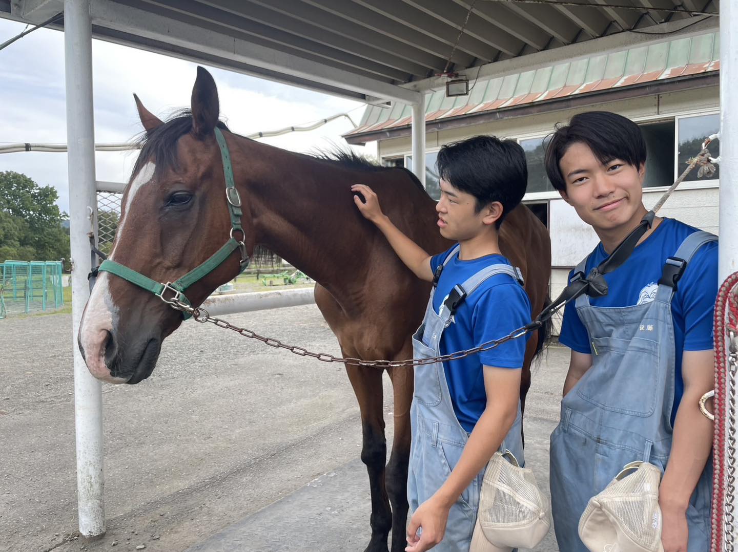 馬福 Happy Horse Massage
