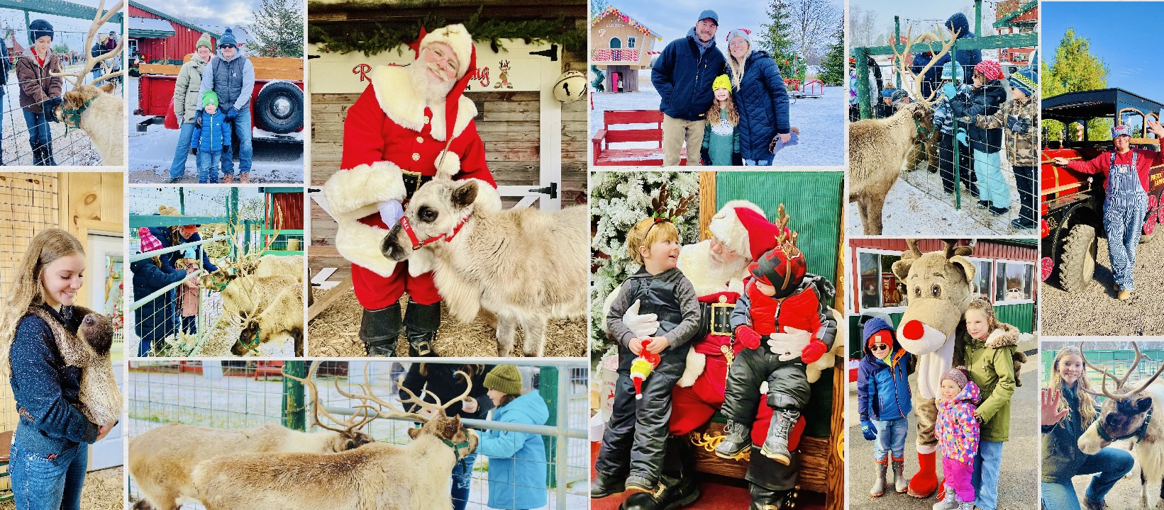 Rooftop Landing Reindeer Farm | Clare MI