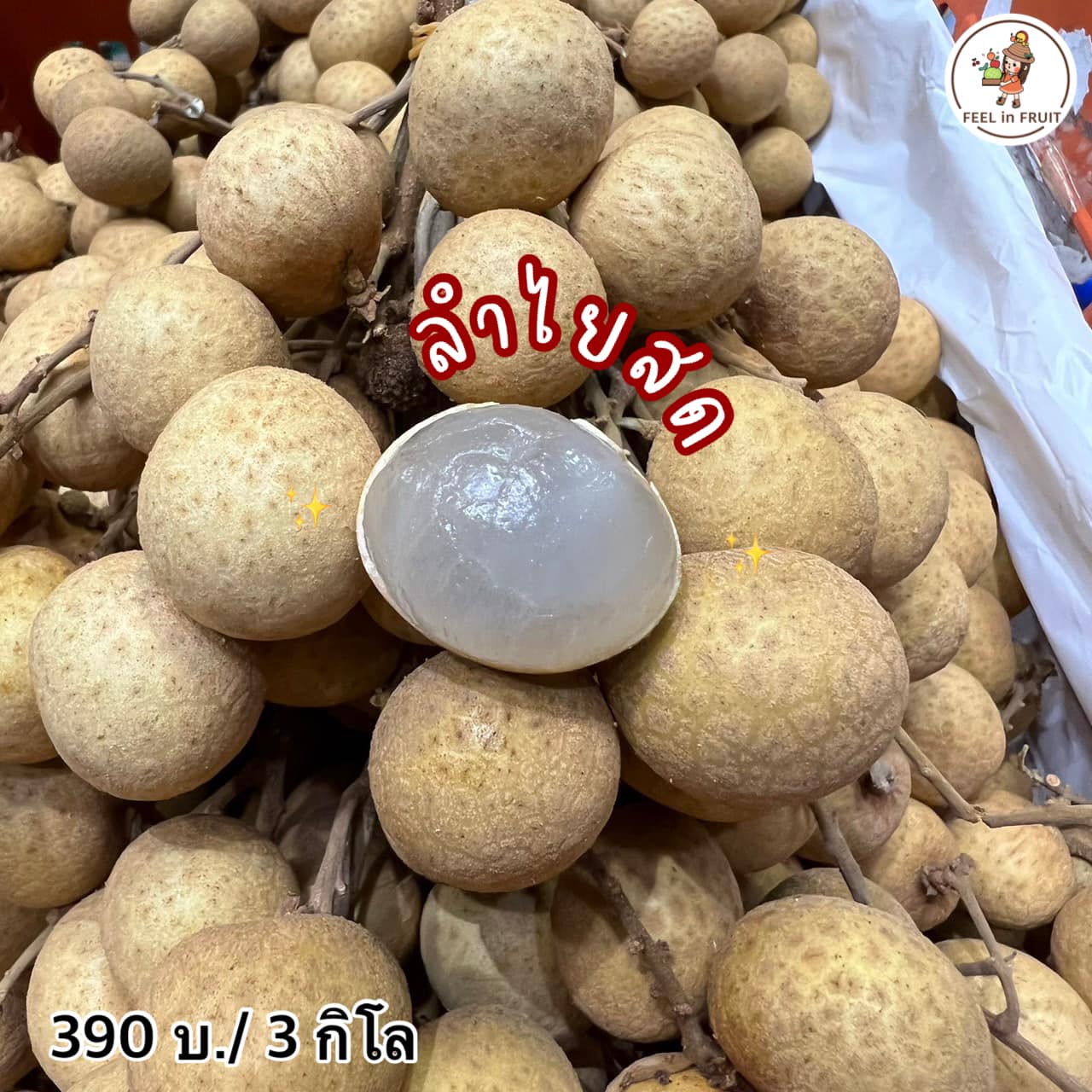 Feel'in Fruit ผลไม้นำเข้าพรีเมียม | Bangkok