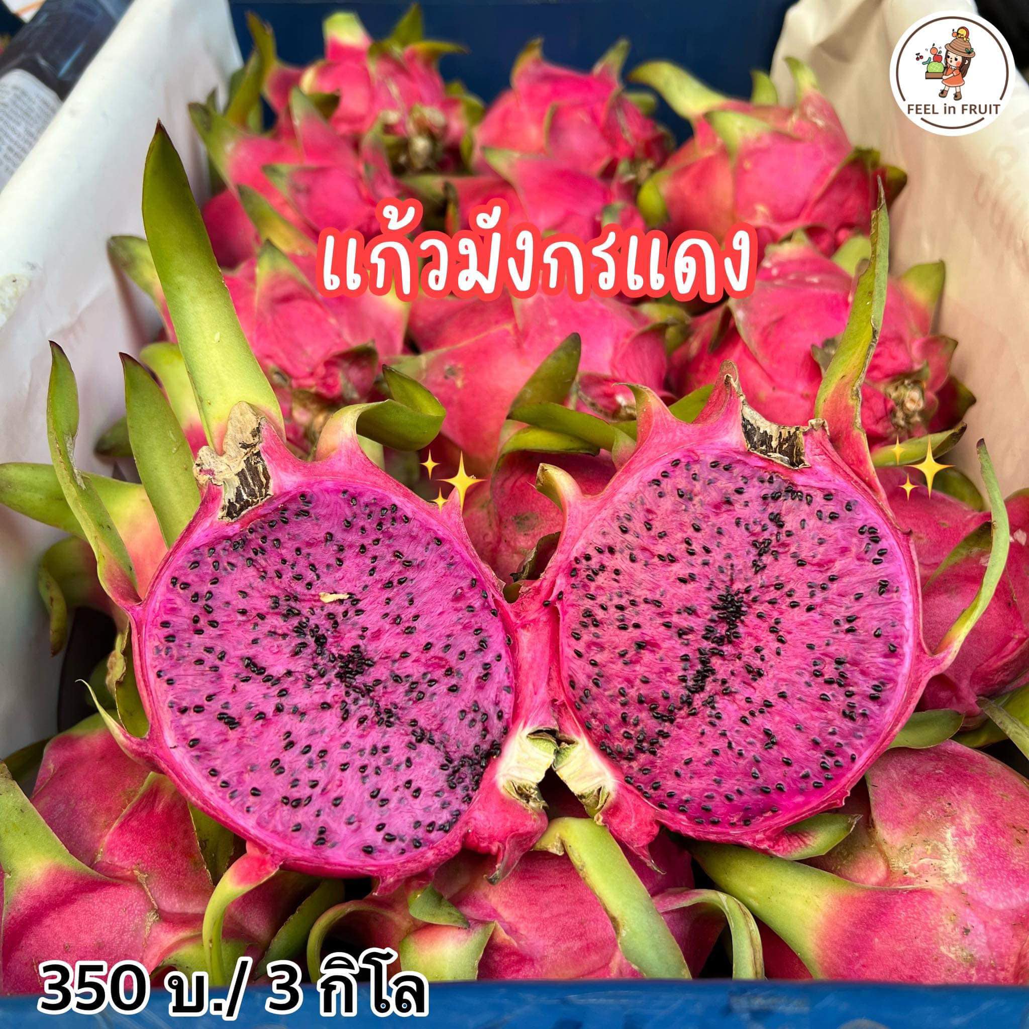 Feel'in Fruit ผลไม้นำเข้าพรีเมียม | Bangkok
