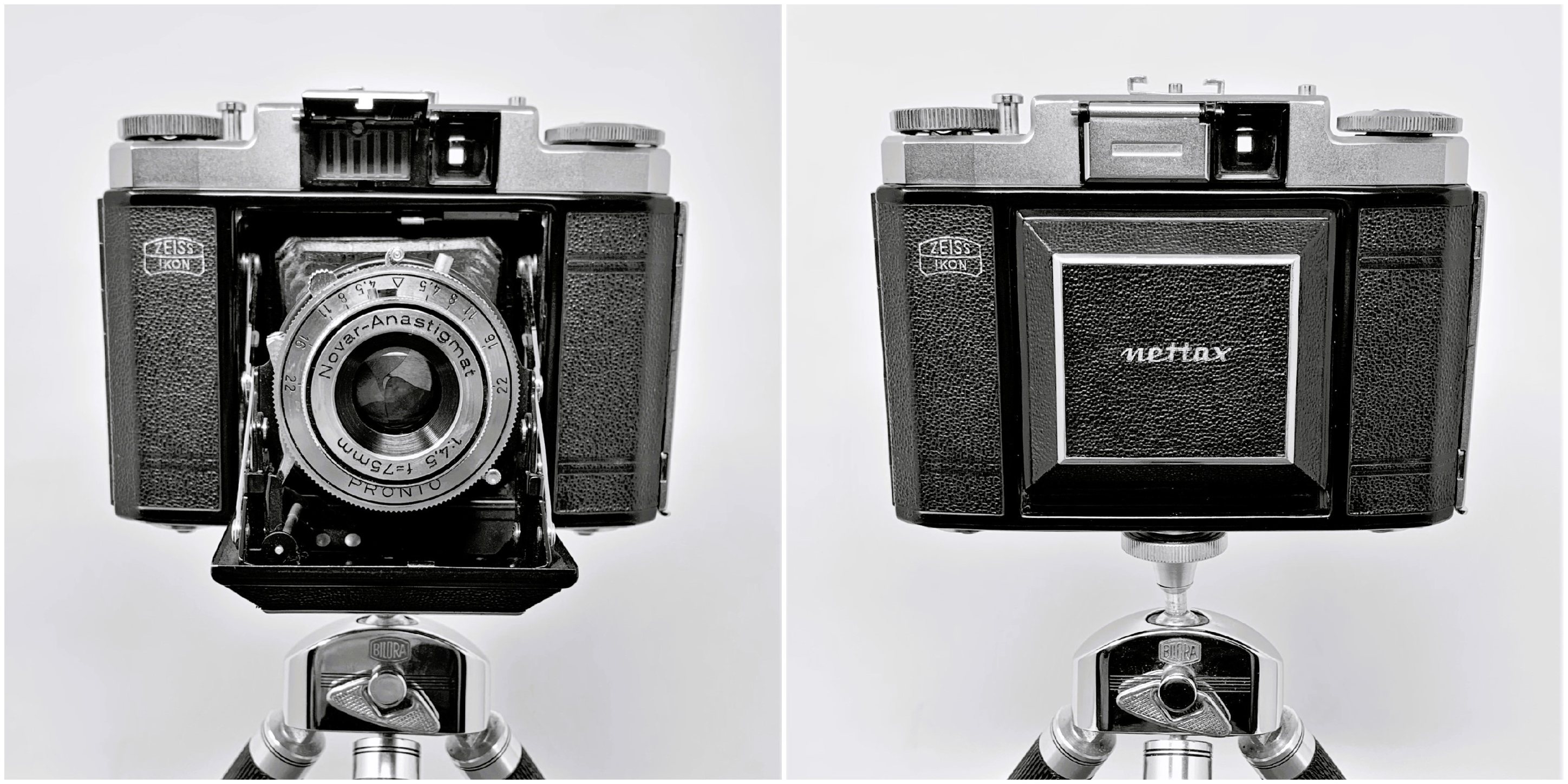 Zeiss Ikon Nettar Signal camera review with Novar-Anastigmat 75mm lens