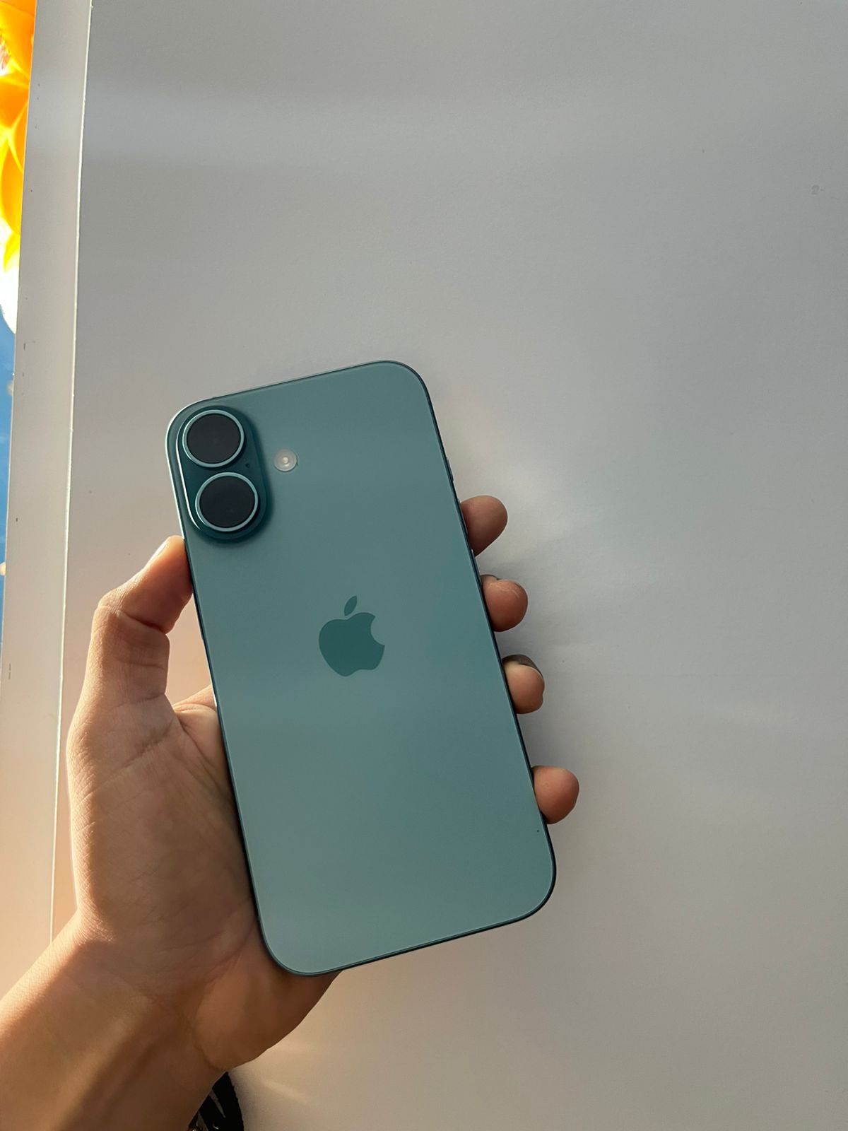 iPhones 📍 Reynosa | iPhone 16 Normal | Facebook