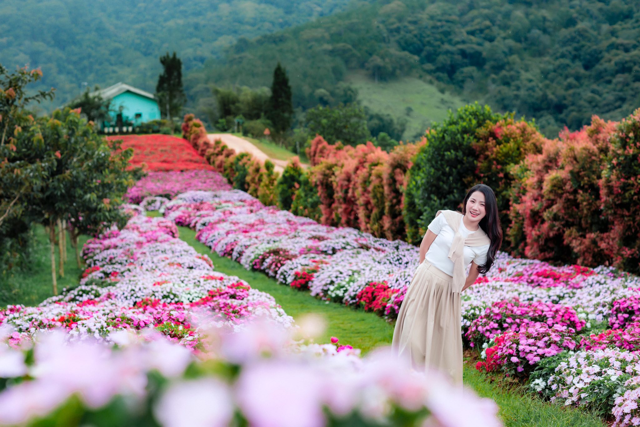 The Florest - Hoa Trong... - The Florest - Hoa Trong Rừng