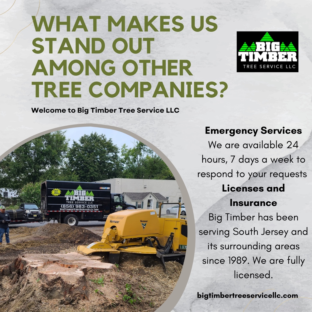 Big Timber Tree Service LLC | Marlton NJ