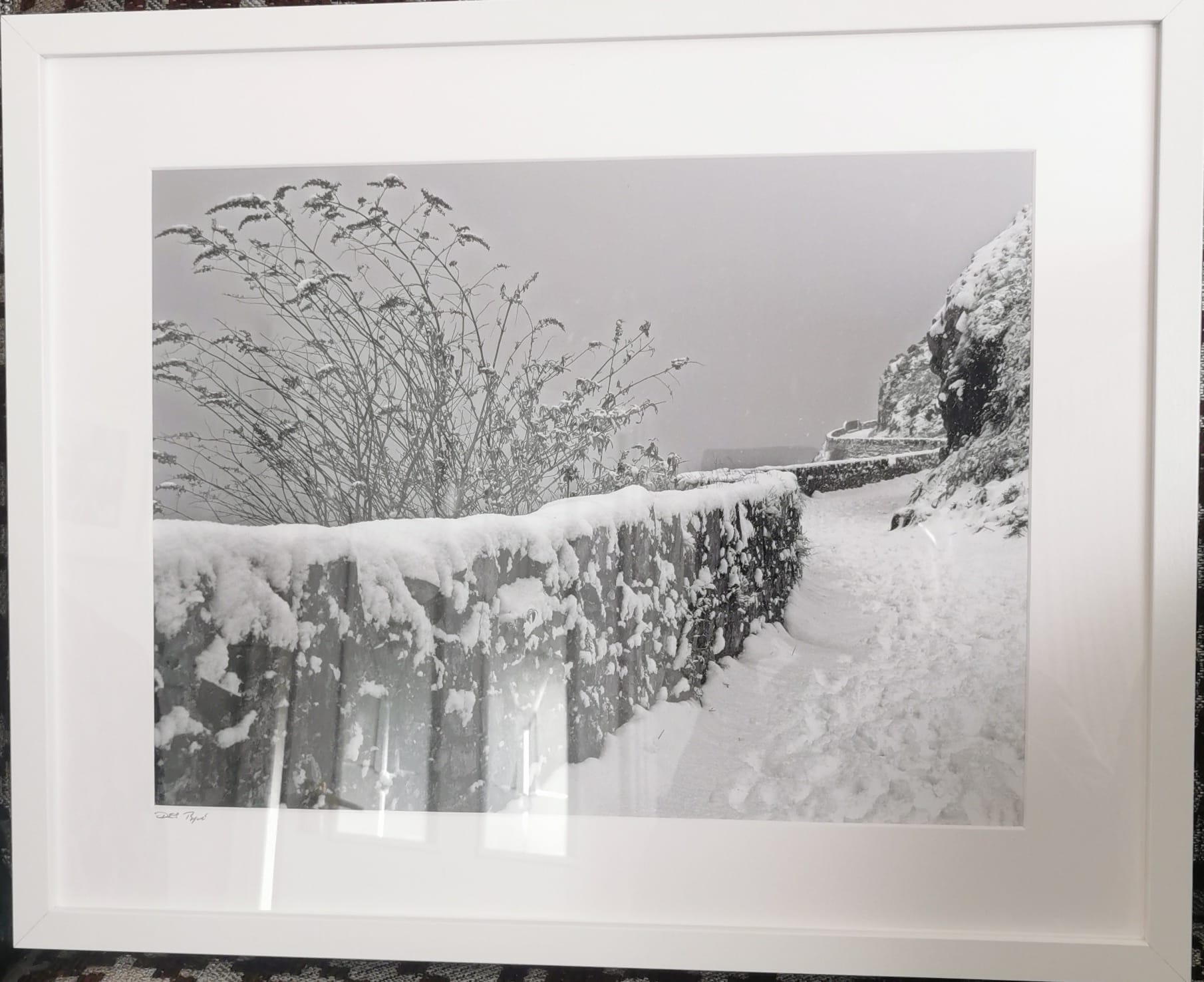 Des Byrne Images