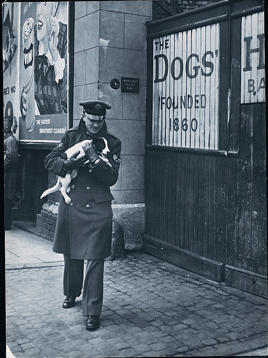 British - During WWII, Battersea survived a bomb which exploded in the ...