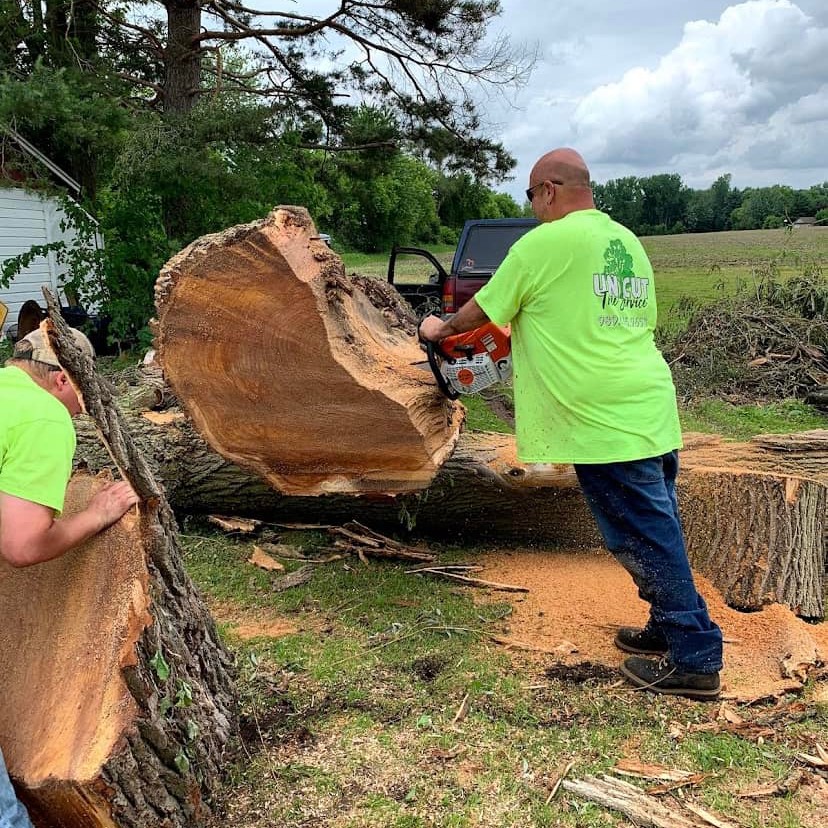 Un-Cut Tree Service | Midland MI
