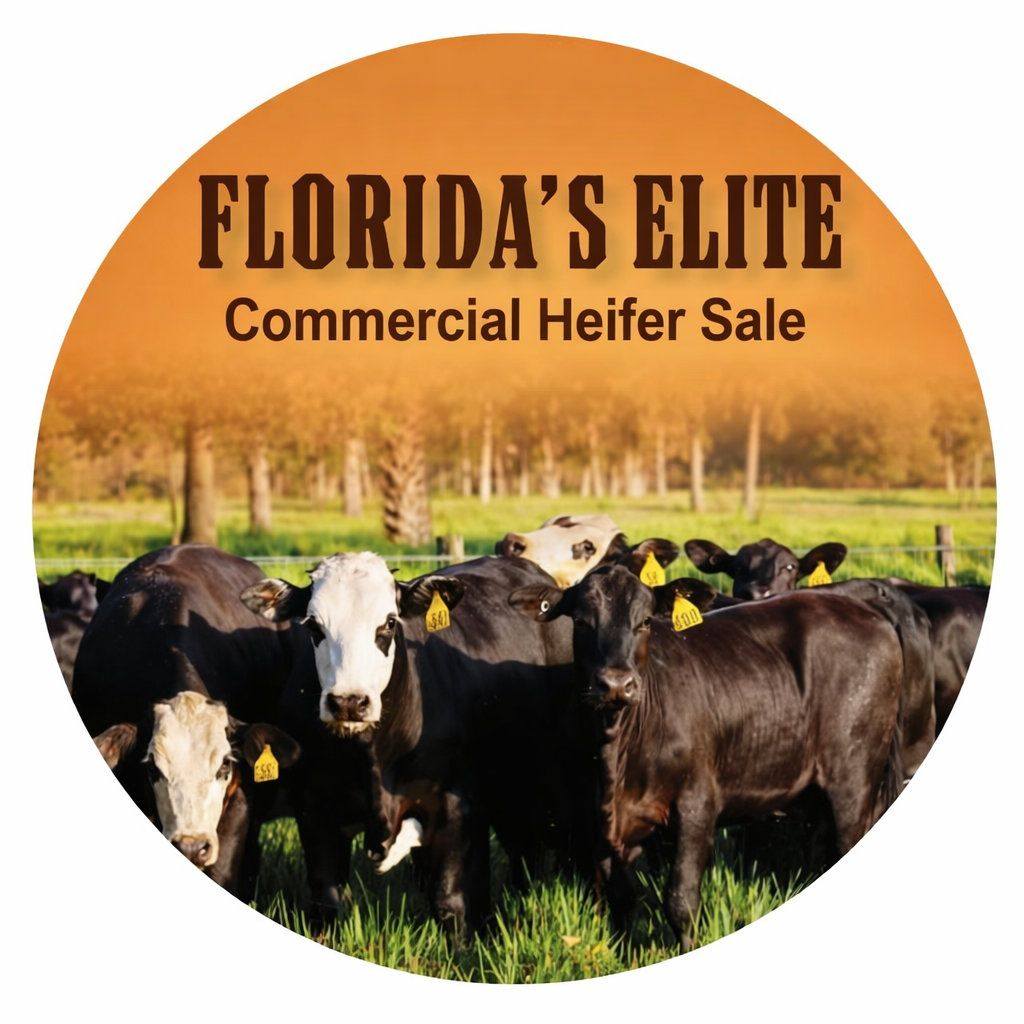 A solid opportunity to add proven Brangus genetics to your herd. 43 ...