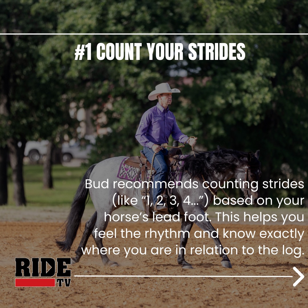 📘🐴 Ranch Horse 101 – Your Go-To... - West Coast Ranch Horse | Facebook