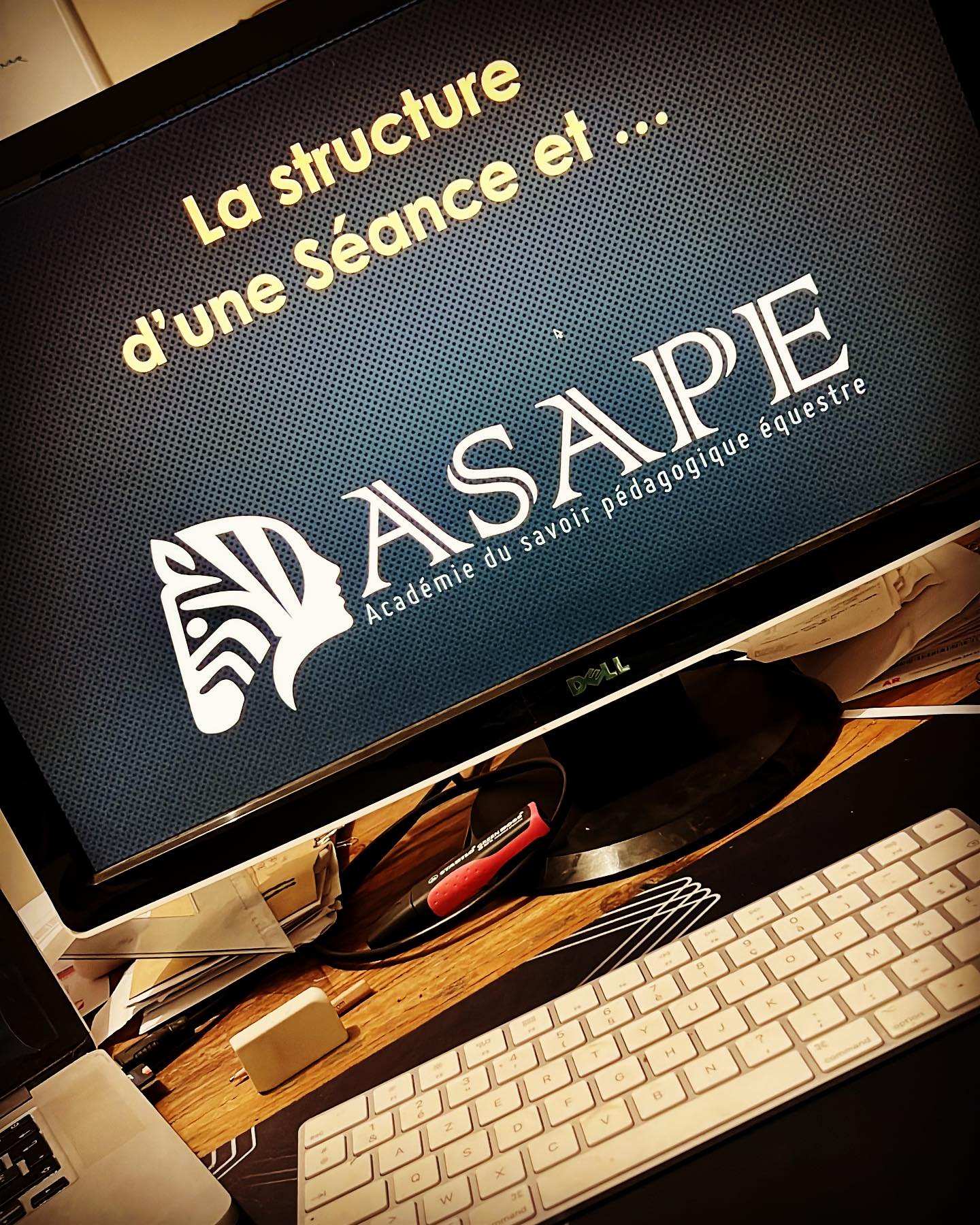 ASAPE : Académie du Savoir Pédagogique Équestre | Waterloo