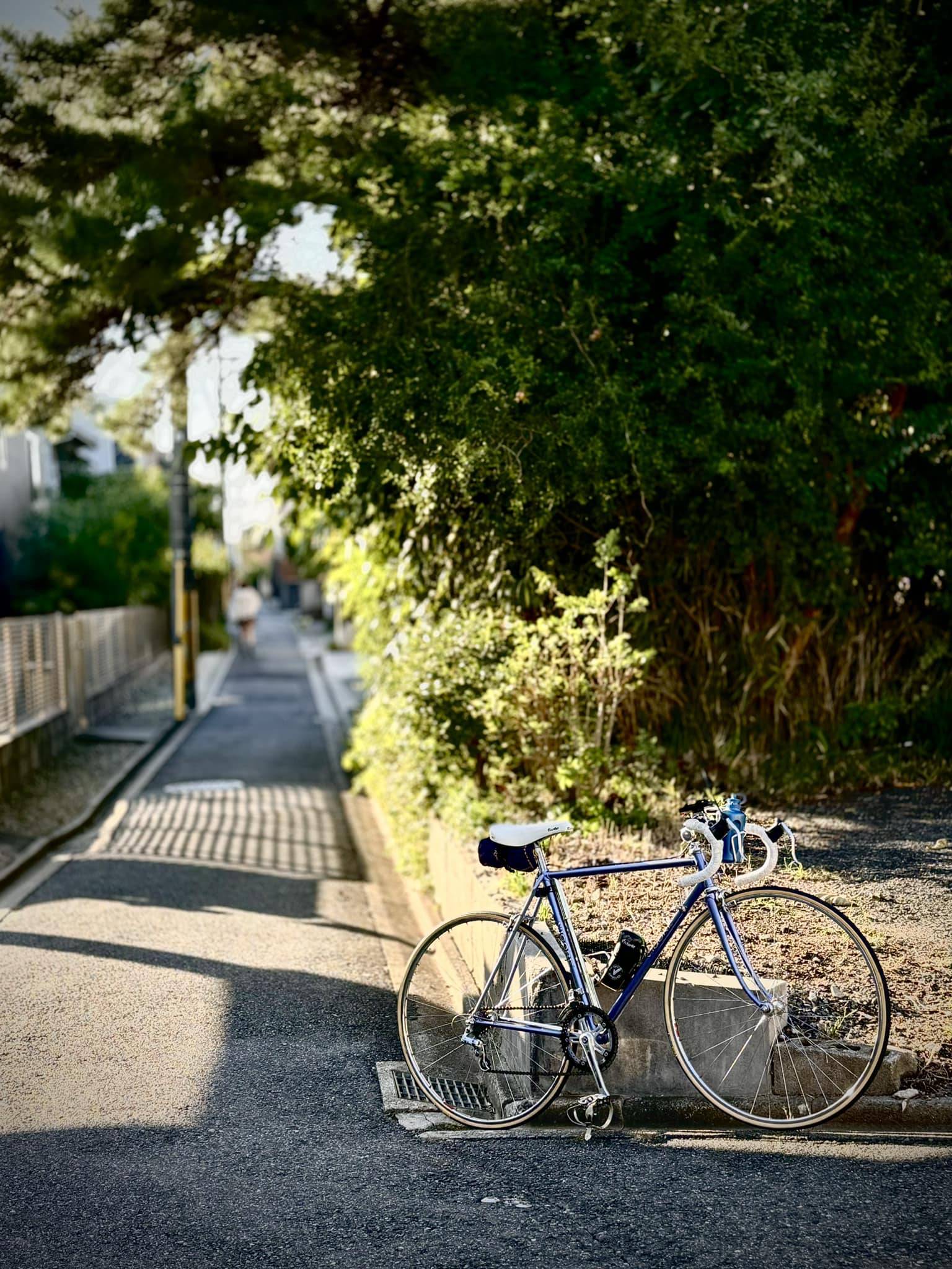 The golden age of Japanese road bikes