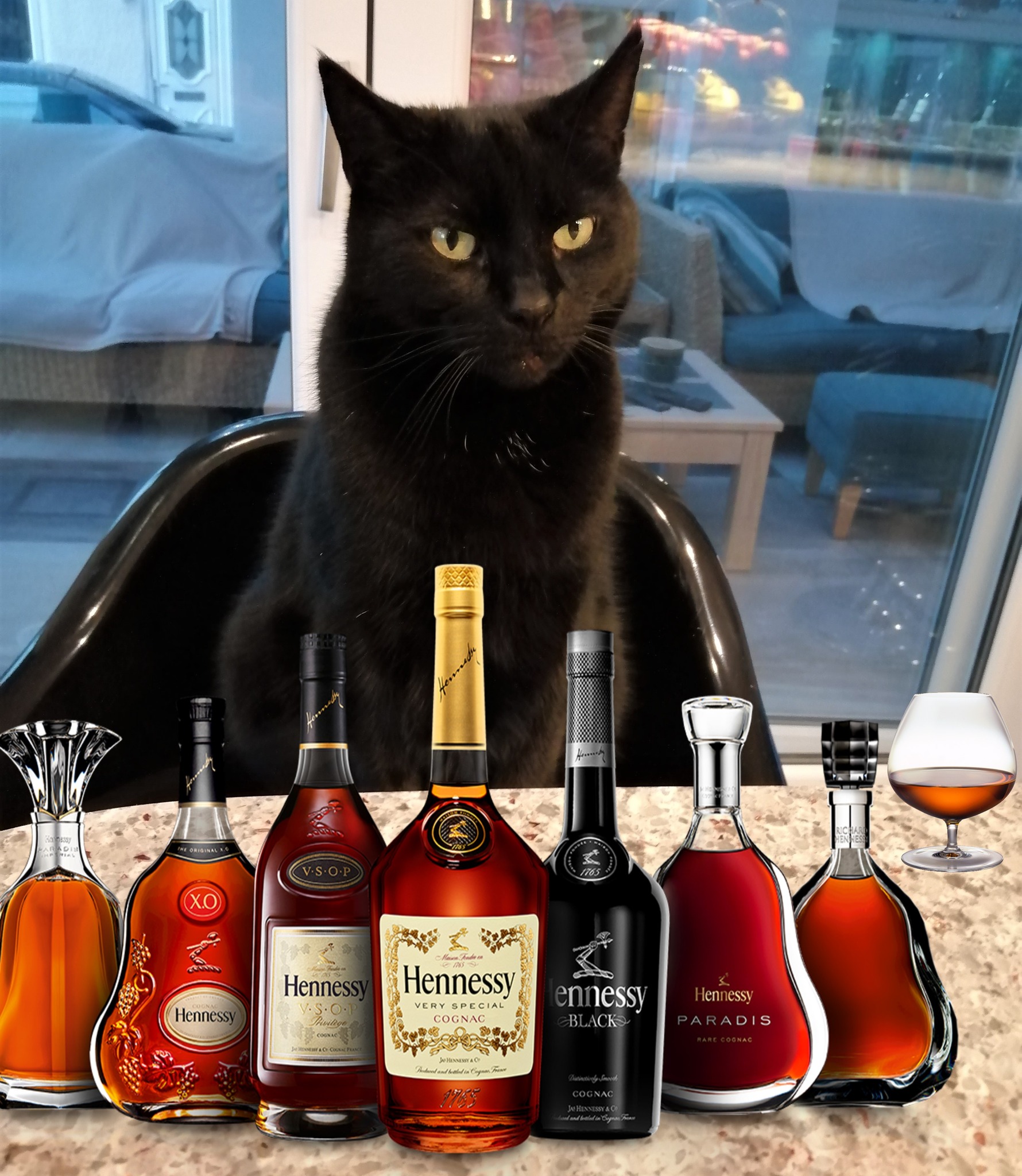 The Guinness World Records announced the oldest bottle of cognac