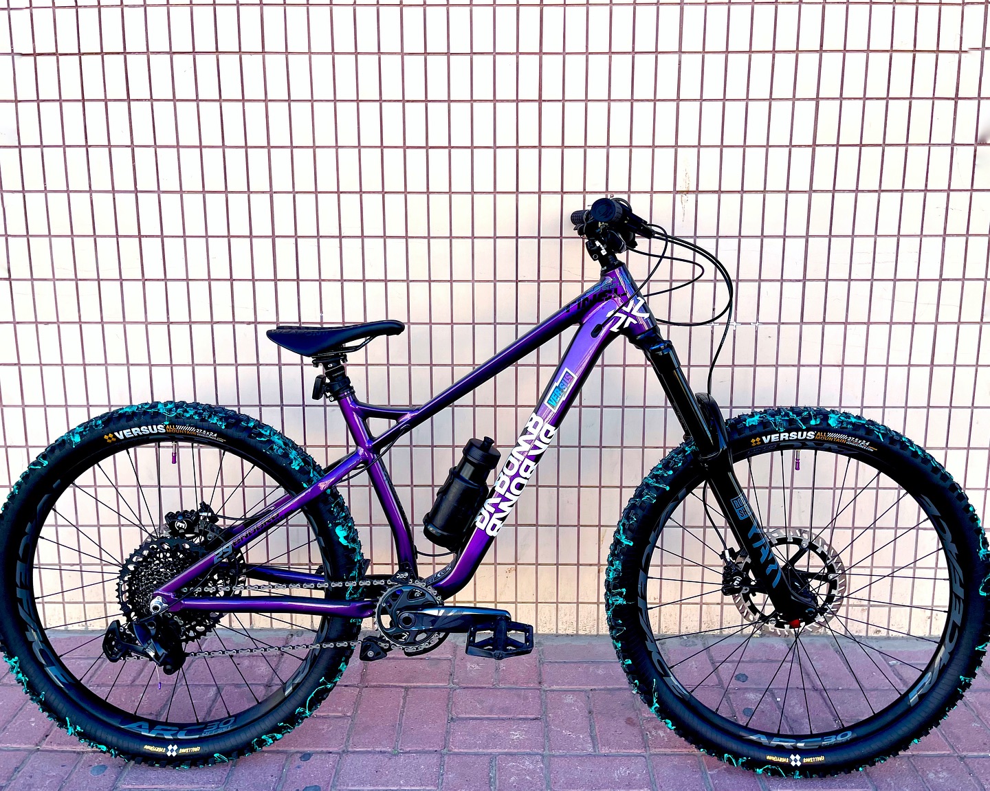 Frame】SENTINEL 29 (Gloss Chameleon) - aims for endurance and