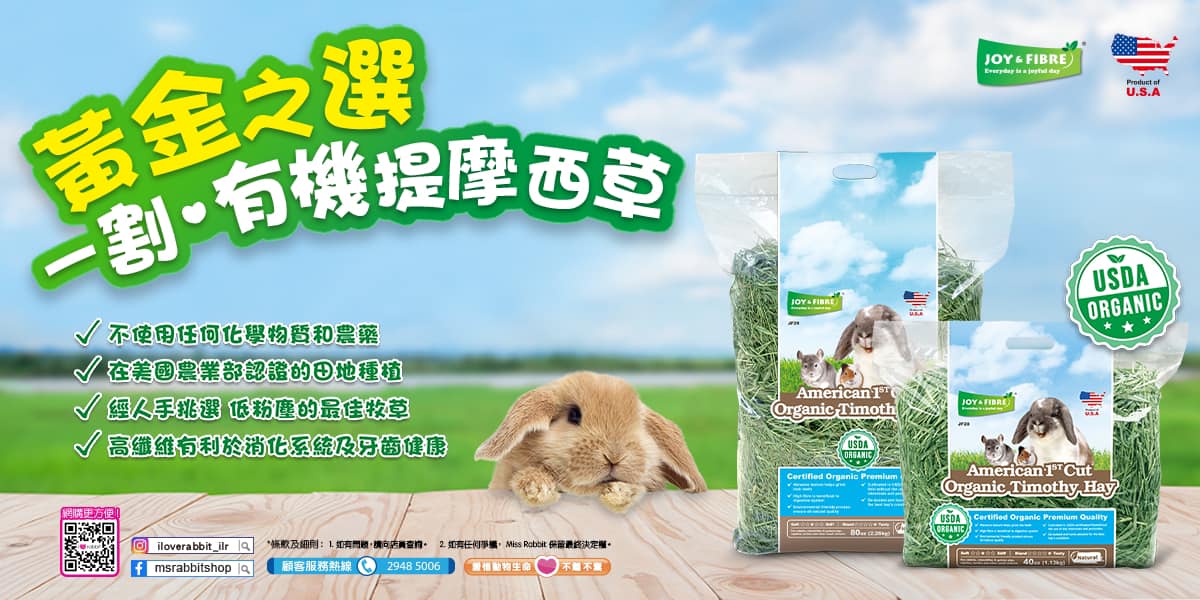 Miss Rabbit | Hong Kong Hong Kong