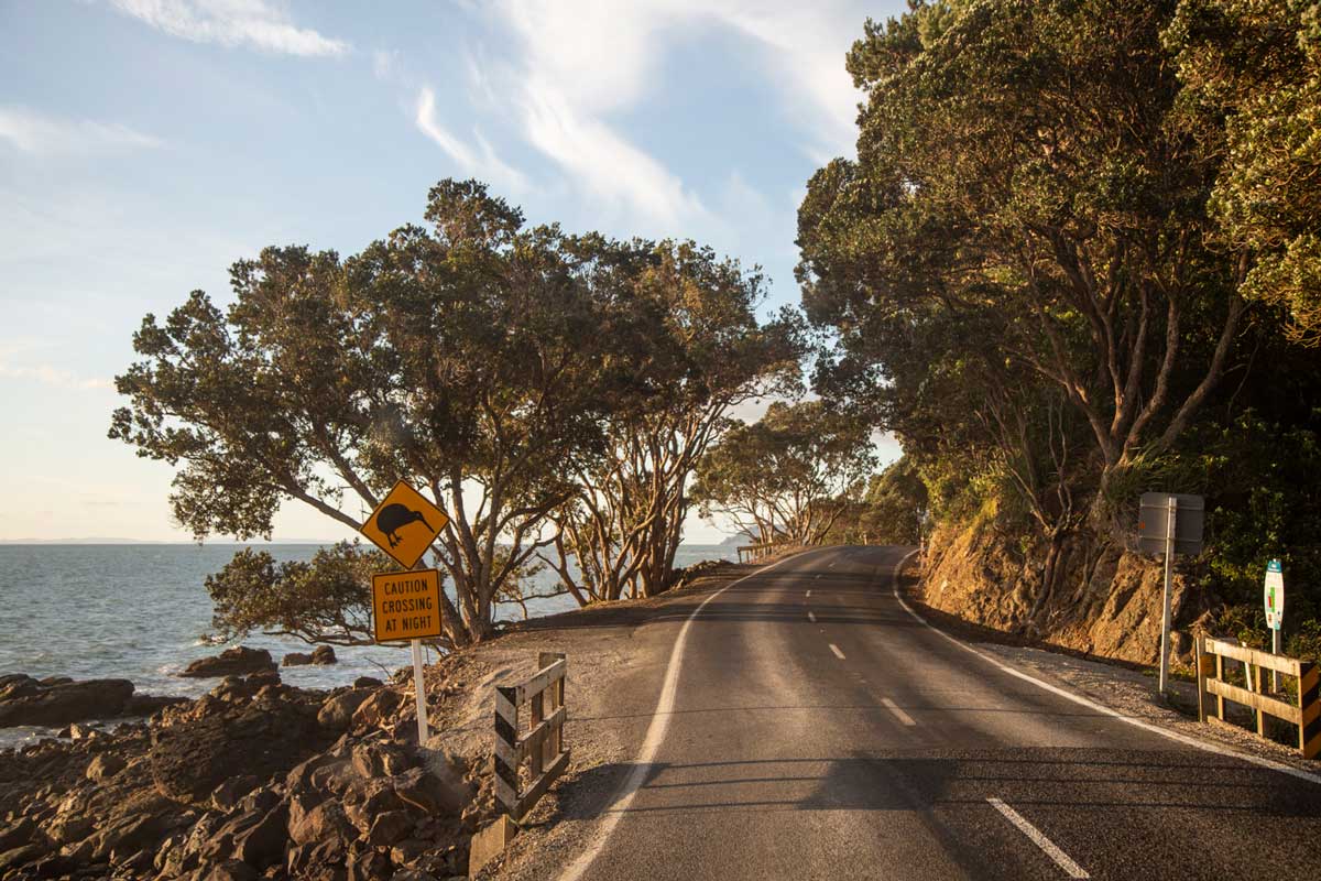Colville, Coromandel Peninsula, NZ | 🚧 Boundary Creek Bridge ...