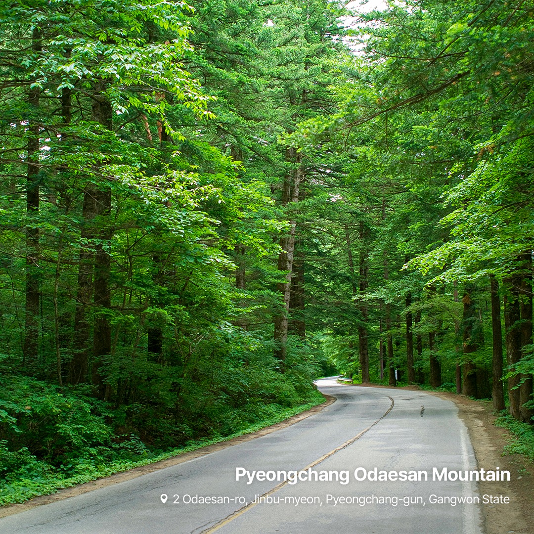 Gangwon State - ⛰ Experience the Breathtaking Grandeur of...