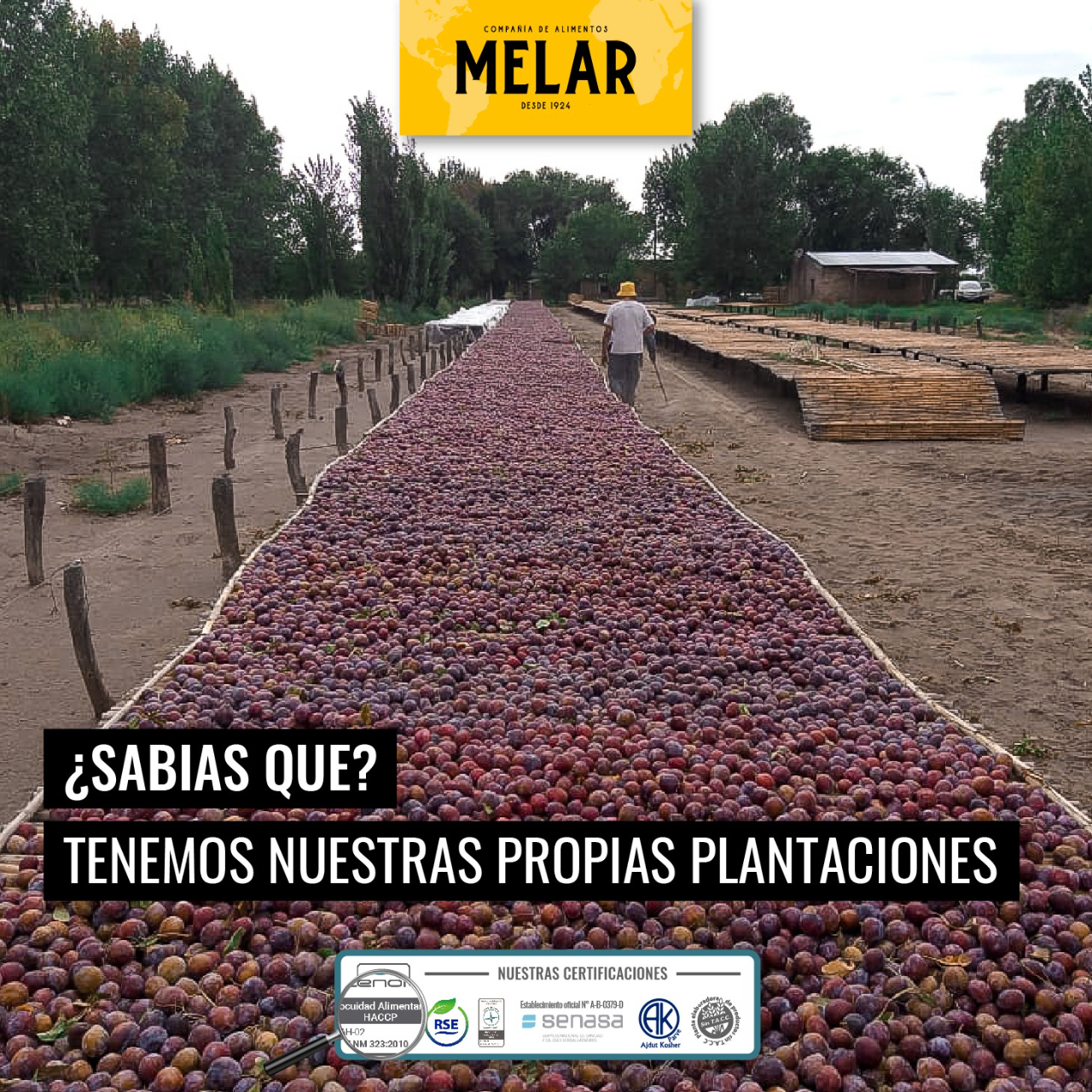 🌱 En Melar contamos con... - Melar - Compañia de Alimentos