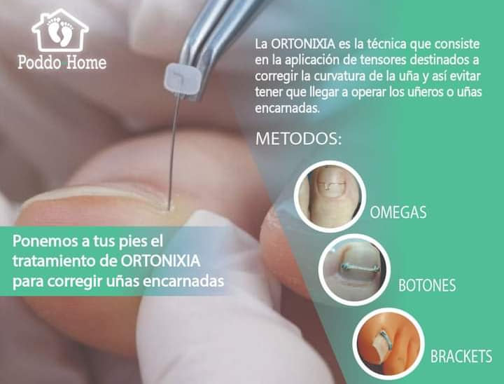 Poddo-Home | Puebla