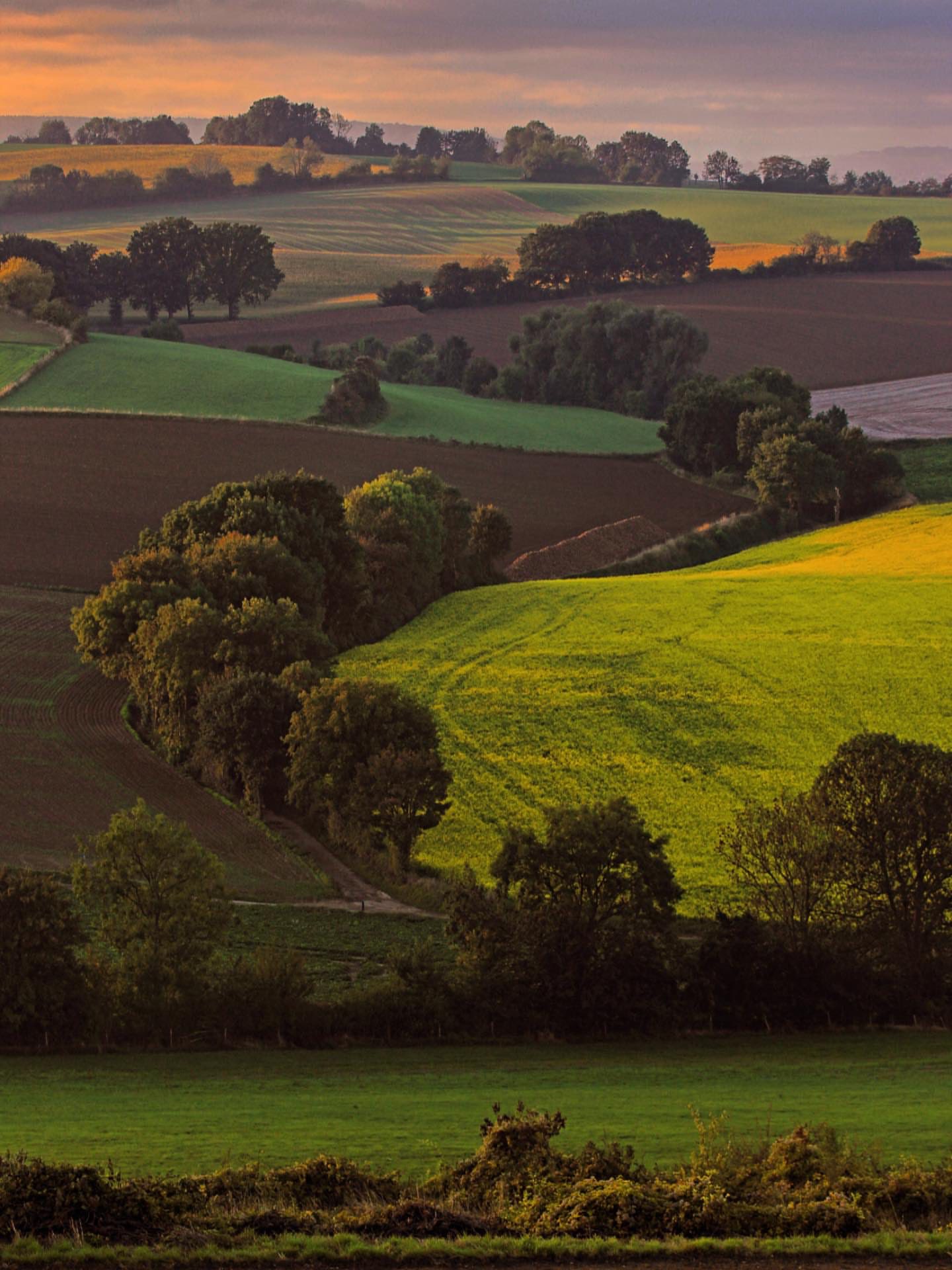 Magnifiek Zuid-Limburg added a... - Magnifiek Zuid-Limburg