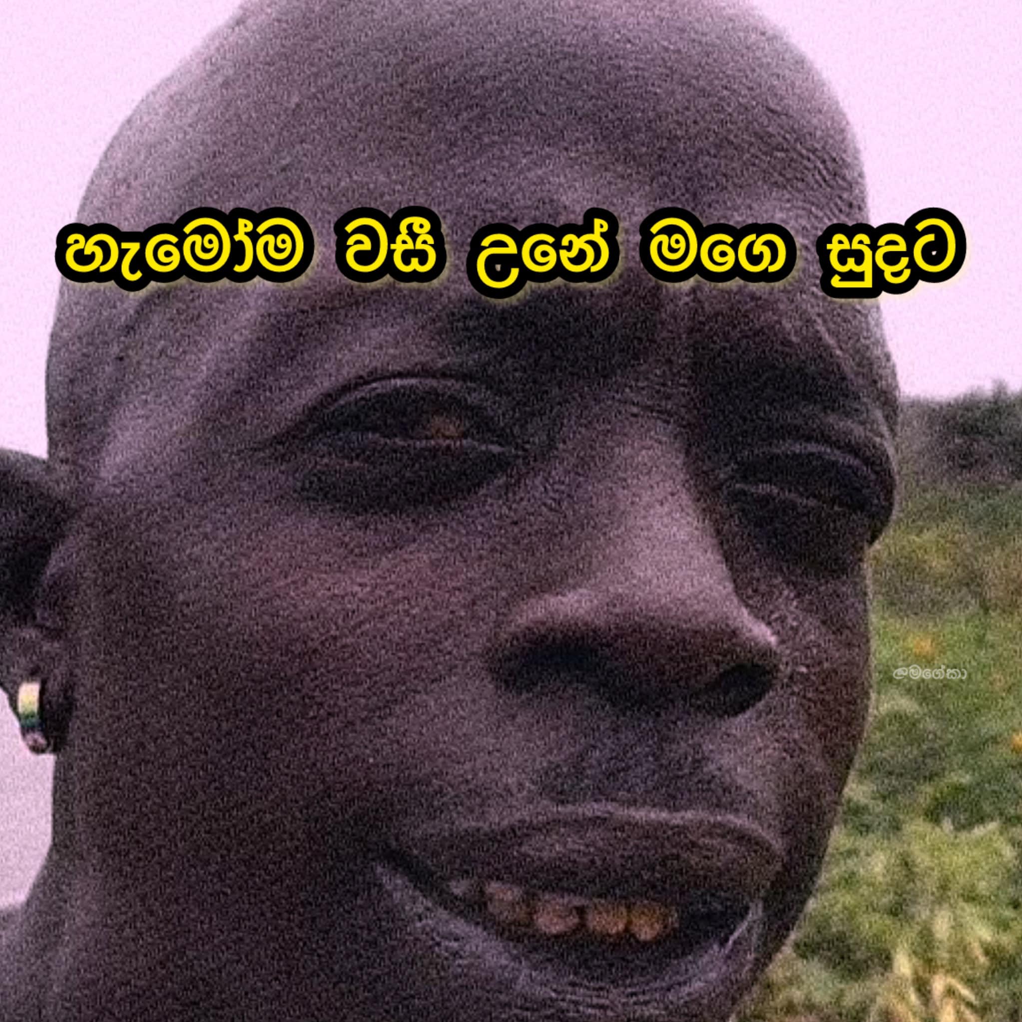 Hesanda Dimantha