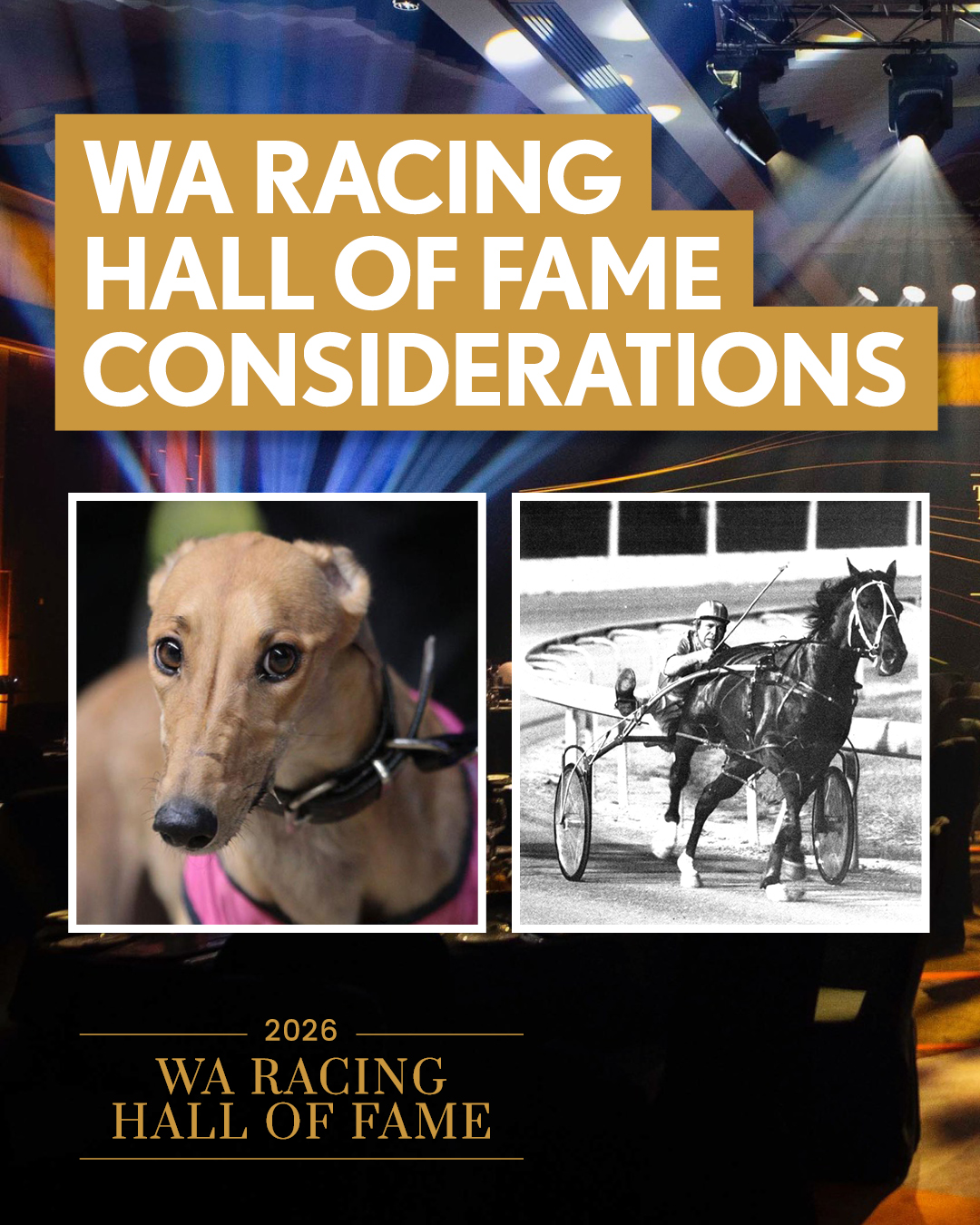 Racing WA Harness | Perth WA
