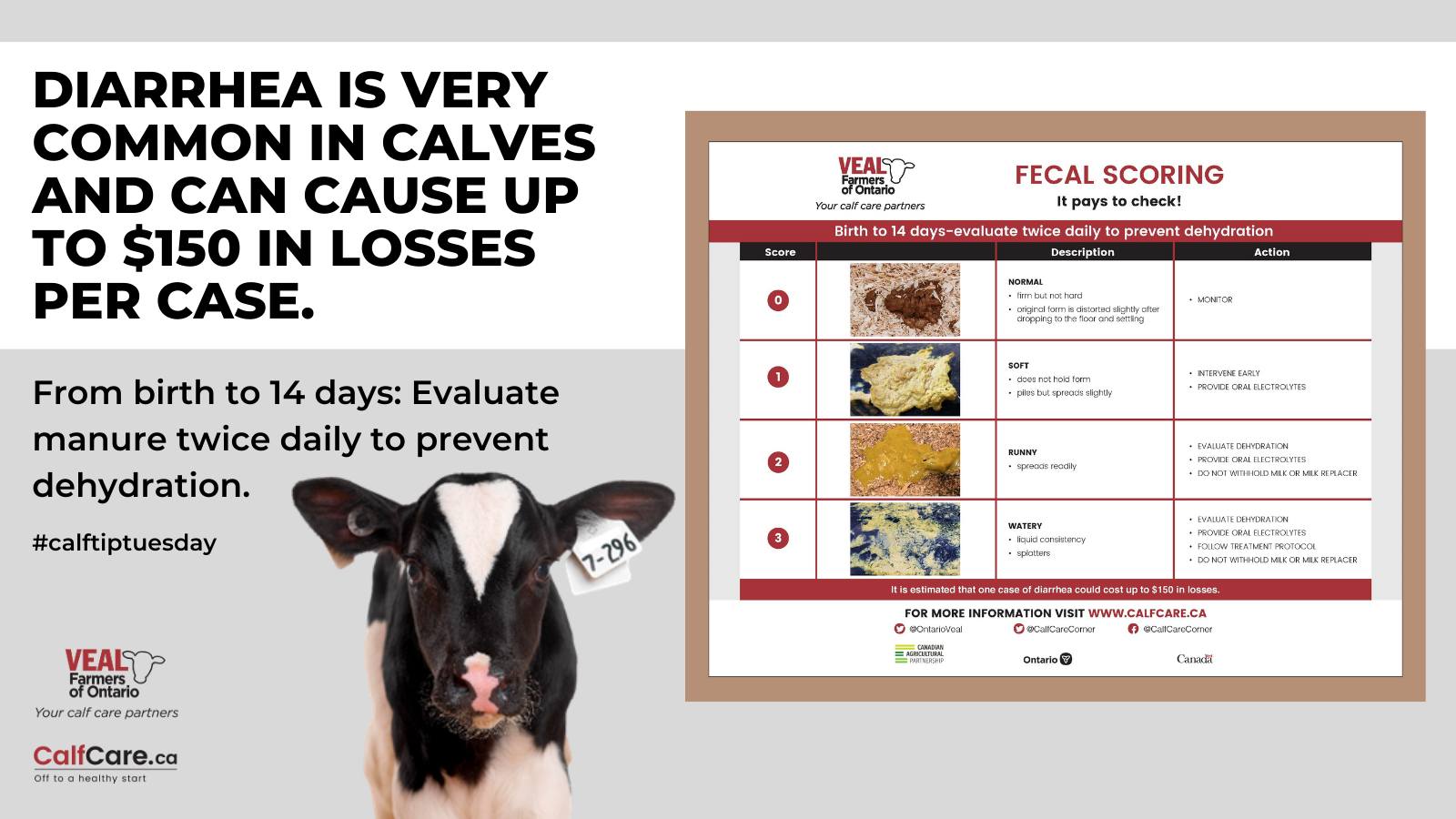 Calf Scours Color Chart