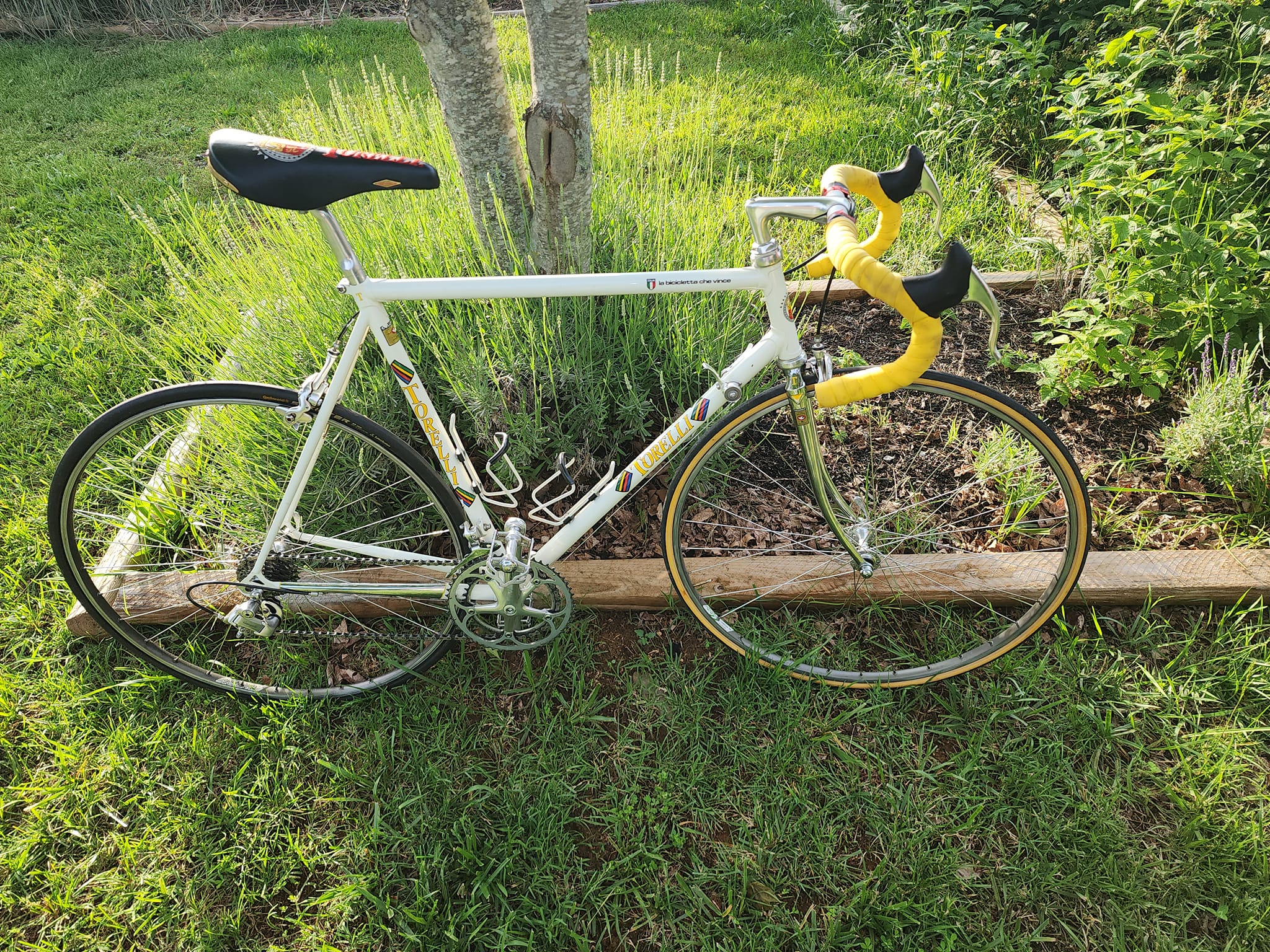 1993 Torelli bike by Antonio Mondonico