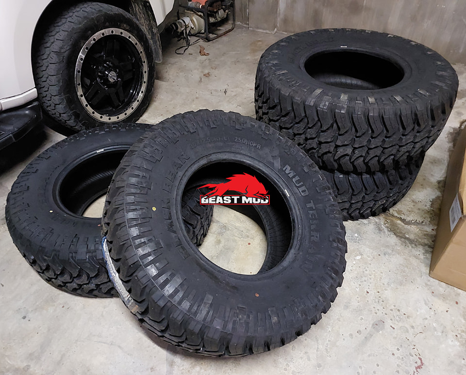 Beast Modification | Quezon City