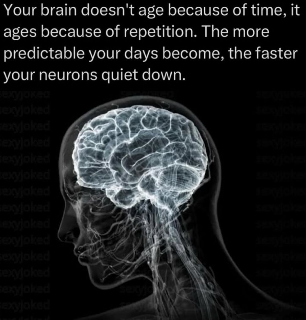Ancient - Your brain naturally ages due to biological factors like ...