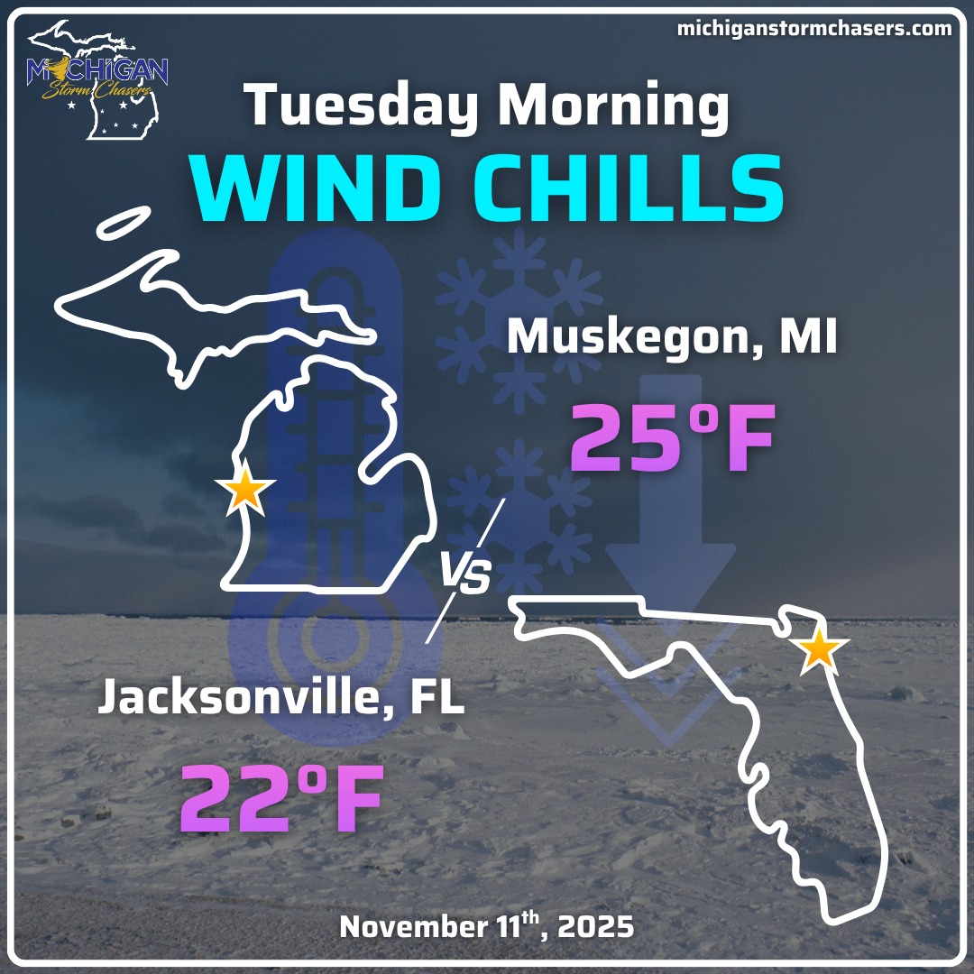 Our snowbirds who have headed... - Michigan Storm Chasers | Facebook