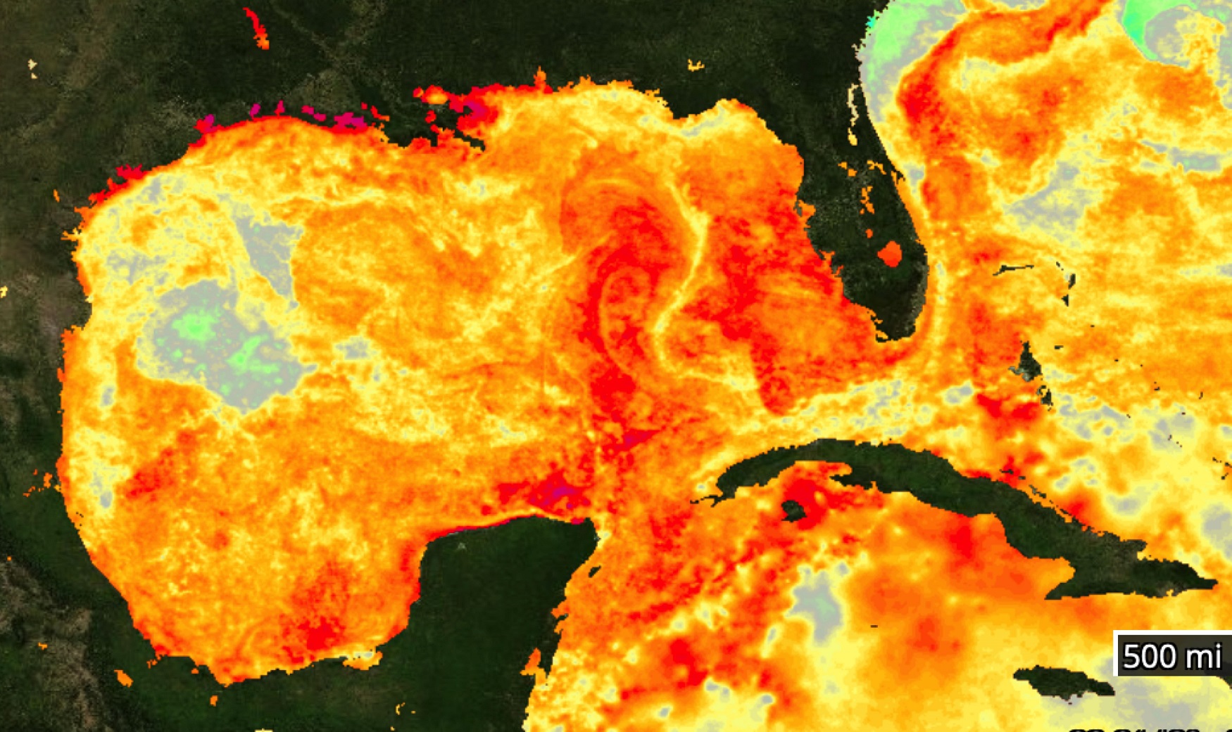 NASA - Sea Surface Temperature Anomaly and Hurricane Helene in the Gulf ...