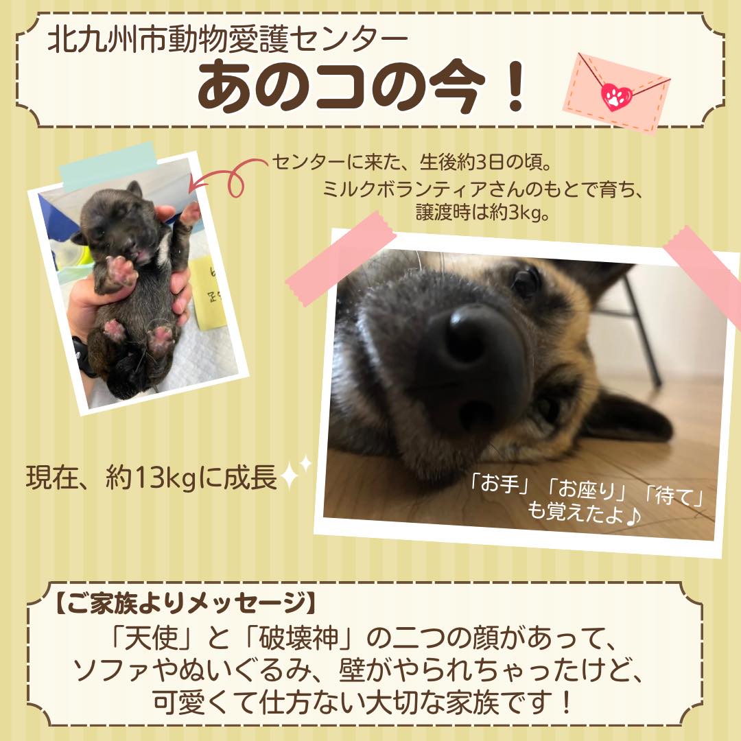 動物 愛護 センター 北九州