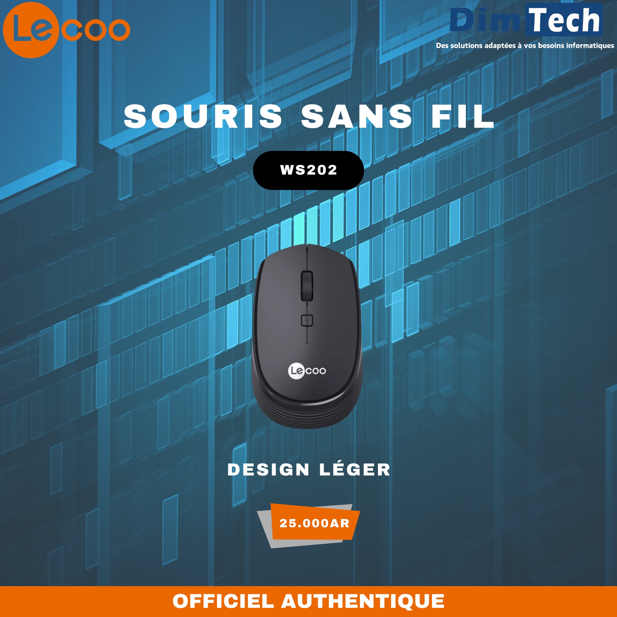 DimTech - LECOO souris sans fil WS202 -25,000AR -Source d'alimentation ...