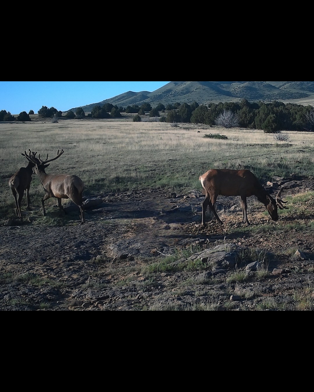 Six Springs Ranch New Mexico | Raton NM