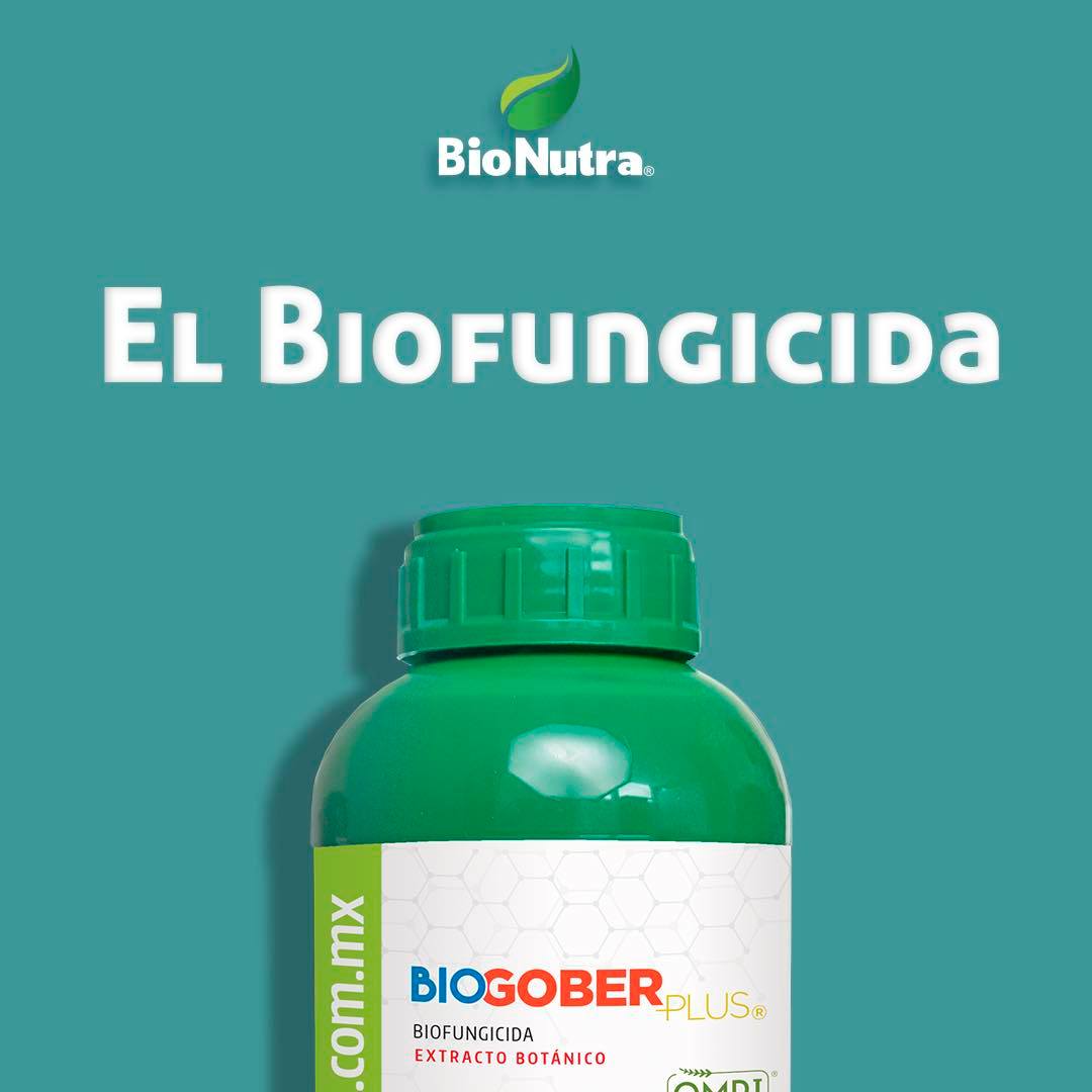 Bio Nutra - El biofungicida orgánica que protege tu...
