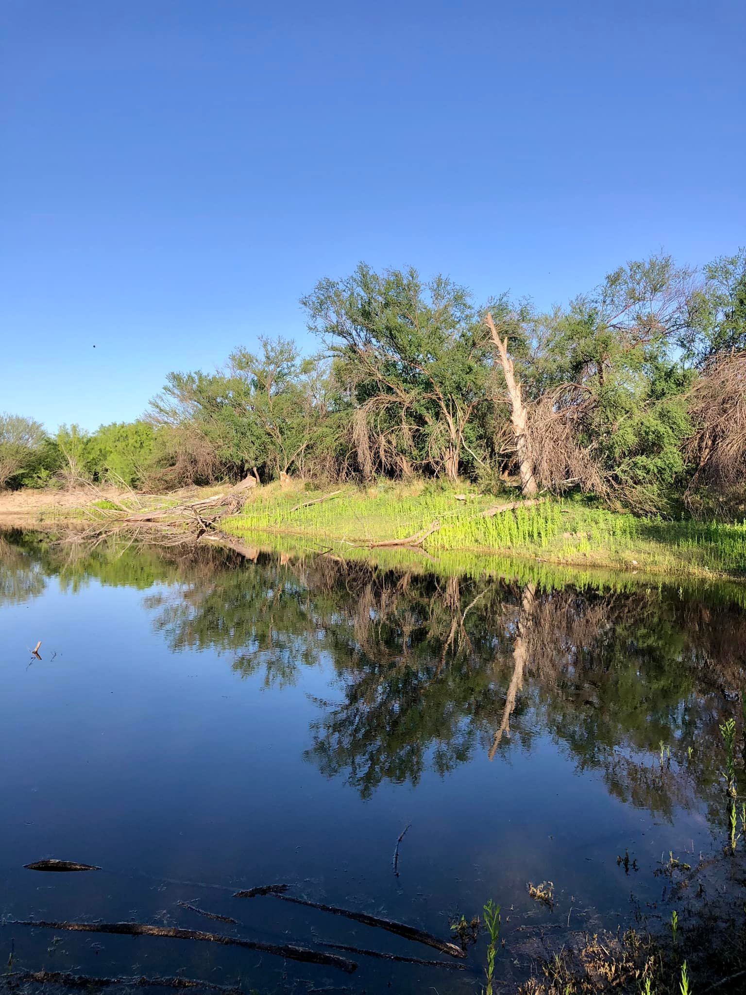 Back Porch Ranch | D'Hanis TX