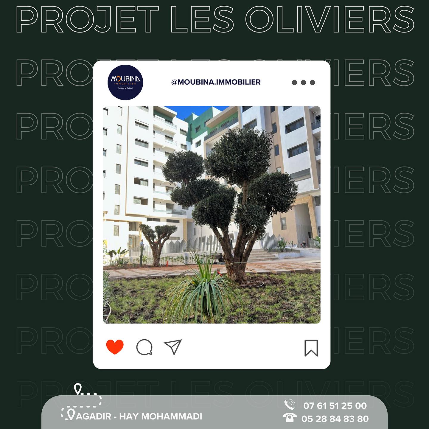 Moubina - Notre projet Les Oliviers 🌿🏡 * Un rêve de verdure devenu ...