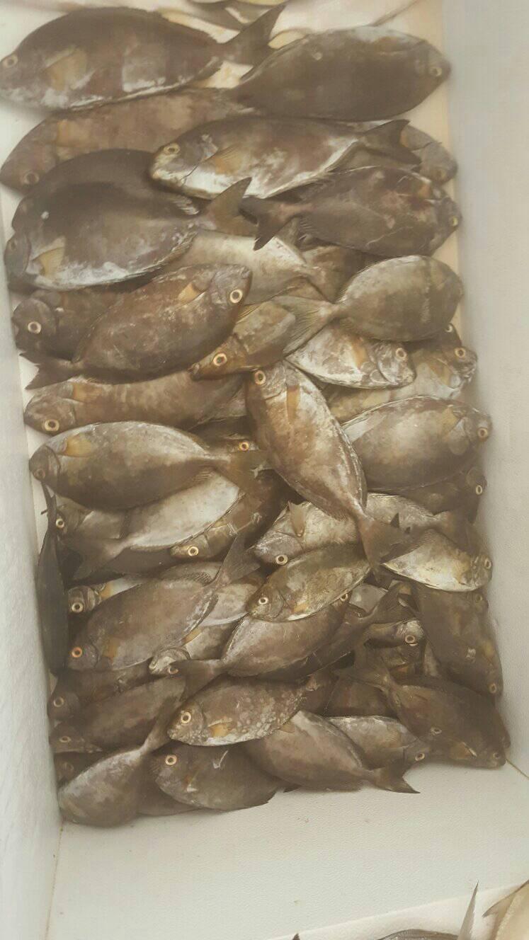 Muns Fresh Fish Shop