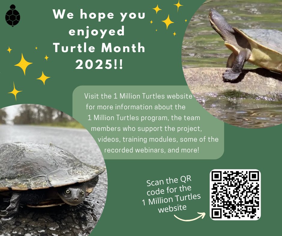 1 Million Turtles Community Conservation Program | Sydney NSW