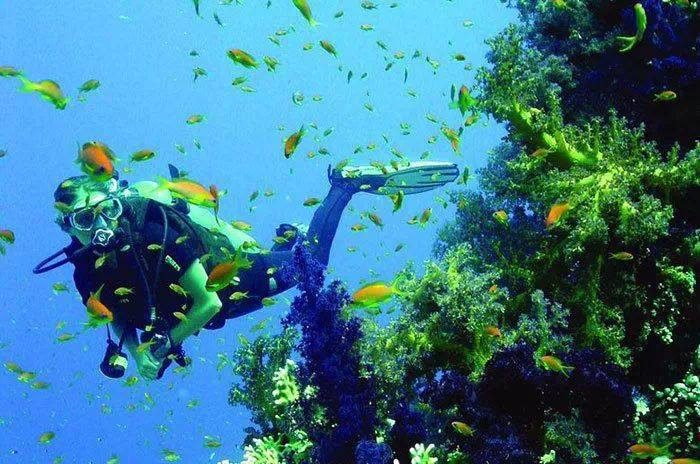 Sfinks Rejser - Hurghada og Det Røde Hav Hurghada,er meget kendt for ...