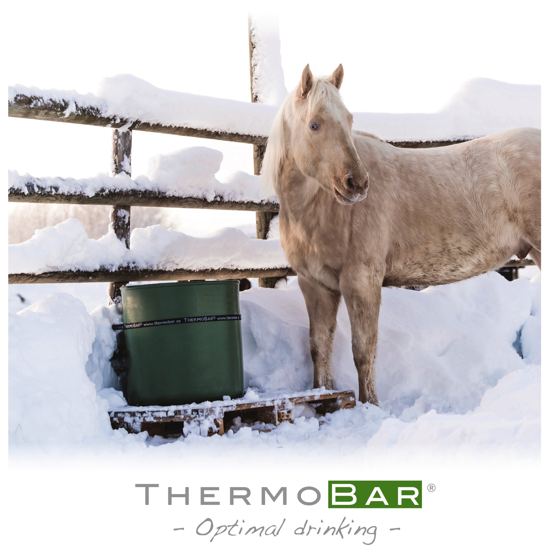 ThermoBar-EN