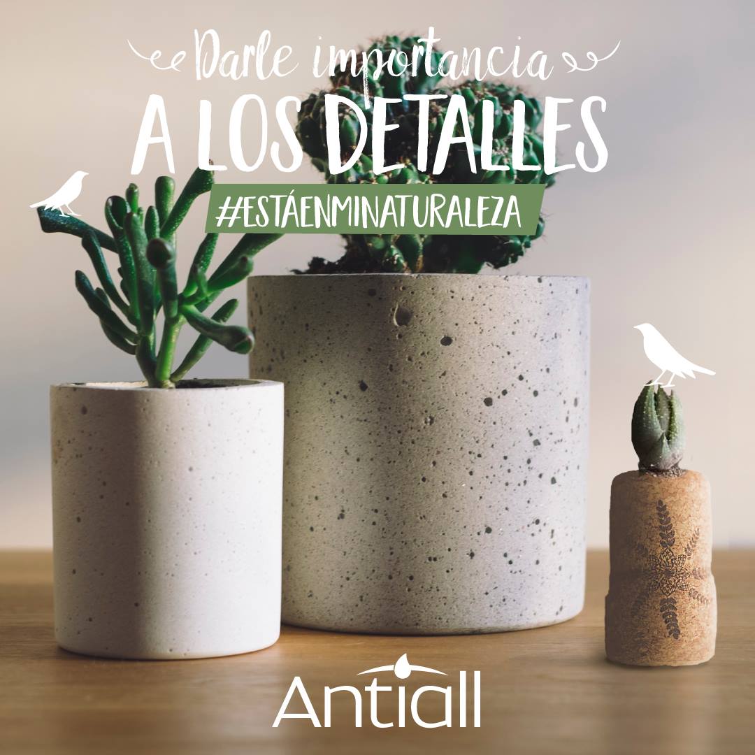 Antiall