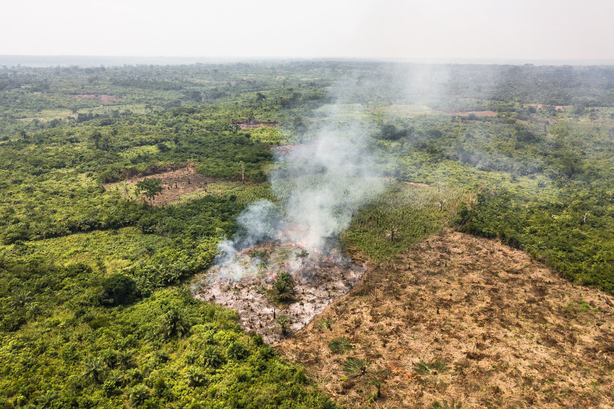 American - Africa is known as “the fire continent,” with big
