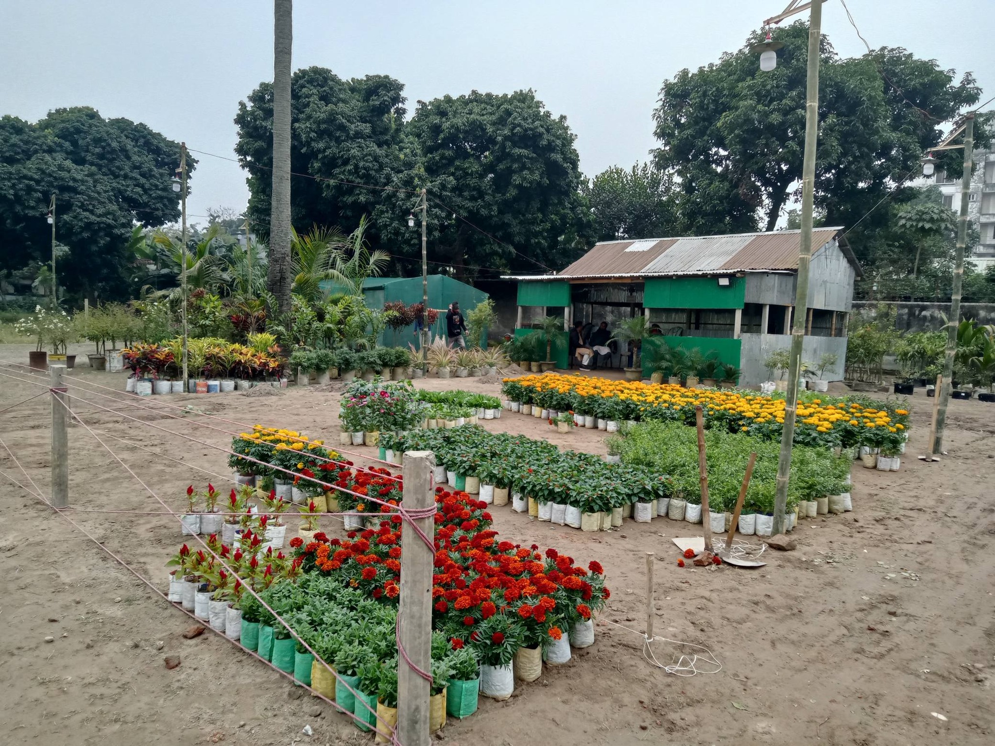 Rangpur Agro & Nursery | Rangpur
