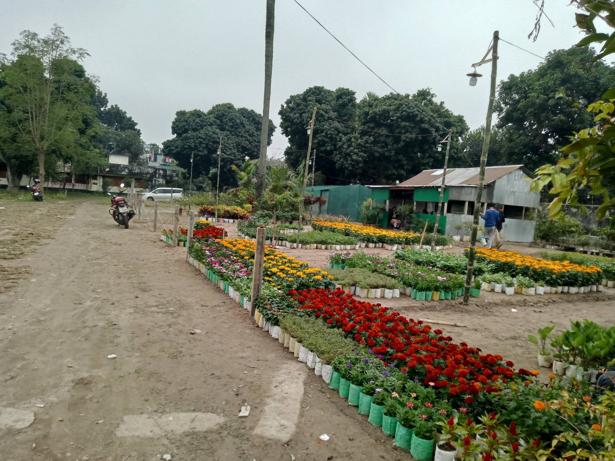 Rangpur Agro & Nursery | Rangpur