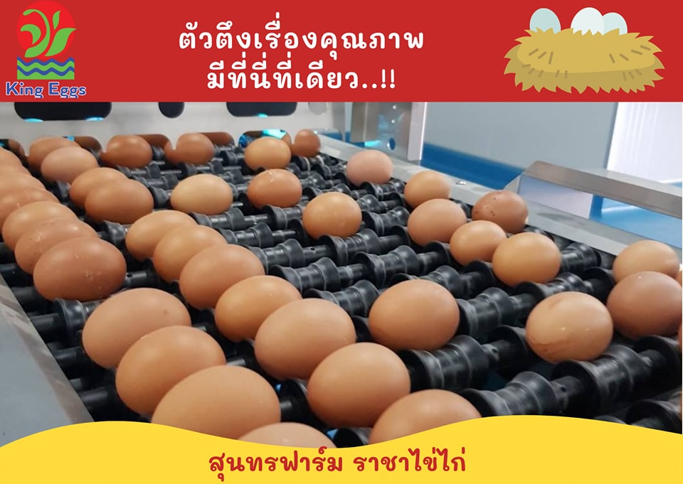 ตัวตึงในย้านนี้... - คิงส์ เอ้กส์ - ราชาไข่ไก่ - King Eggs