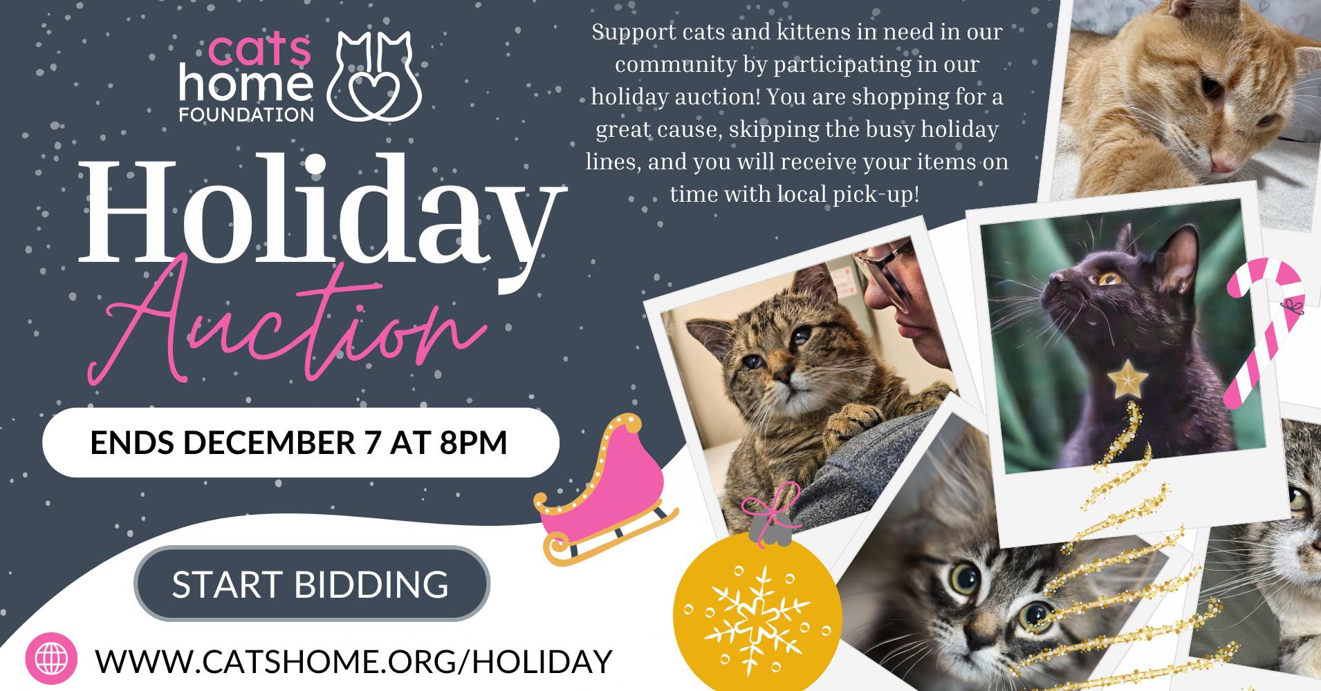 Cats... - Cats Protection Guildford and Godalming Branch