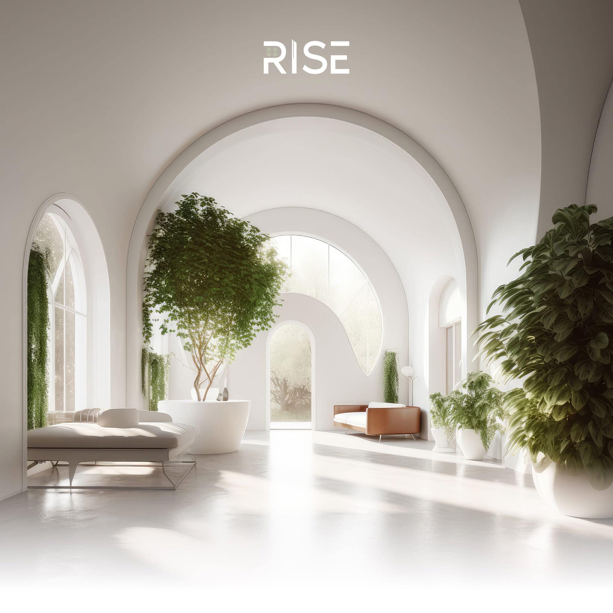Rise Design Studio
