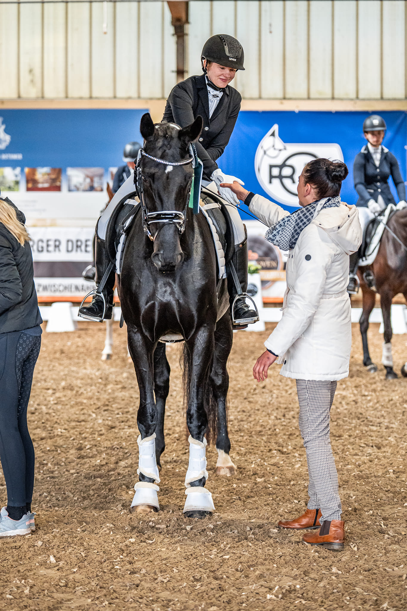 Pferdezucht Horn | Westerstede