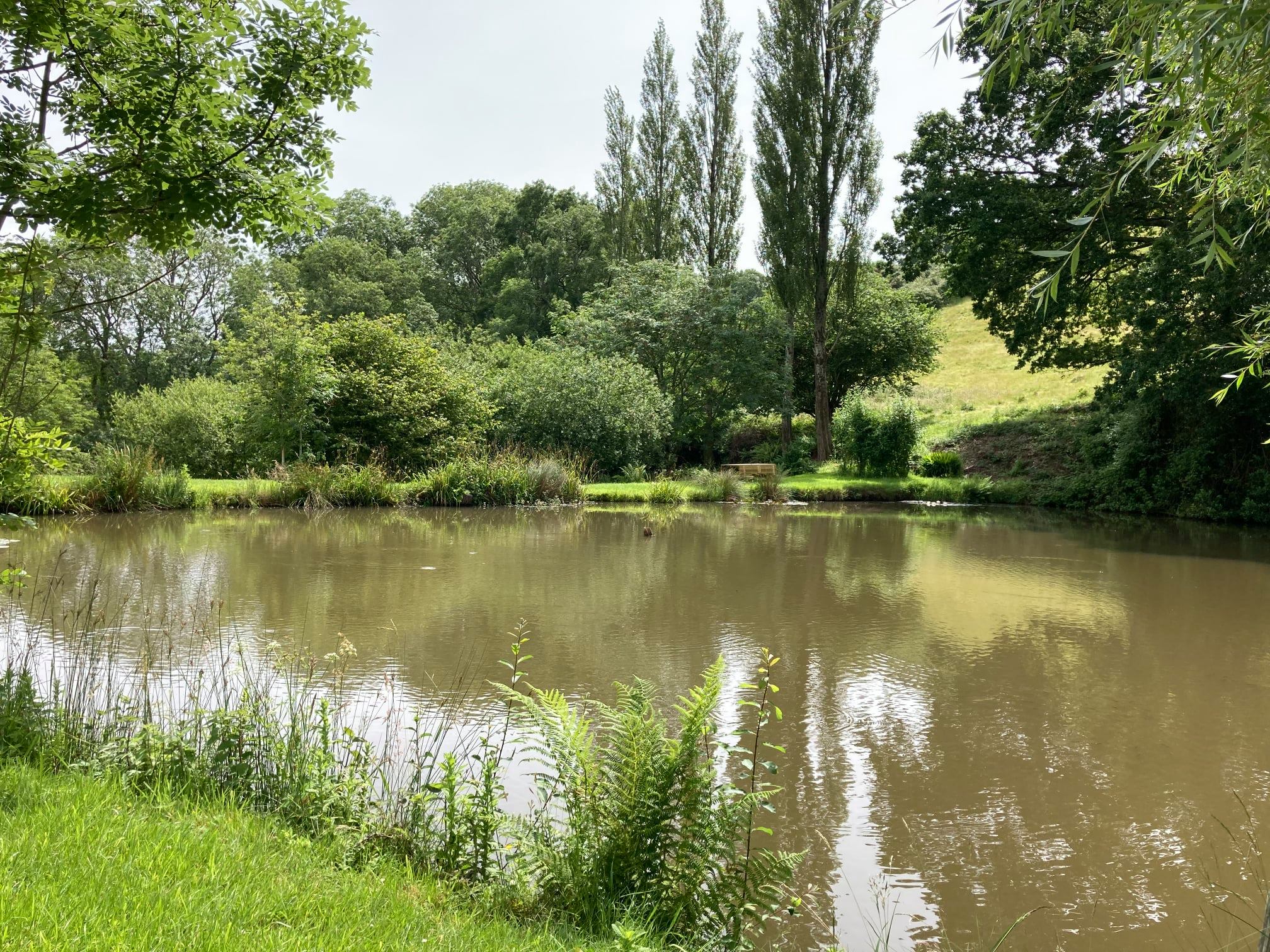 Highway Farm Fishing | Bridport